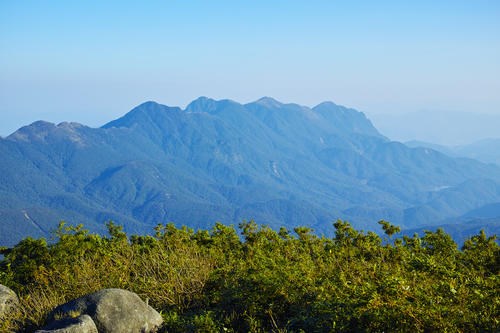 怀集高山青农产品有限公司